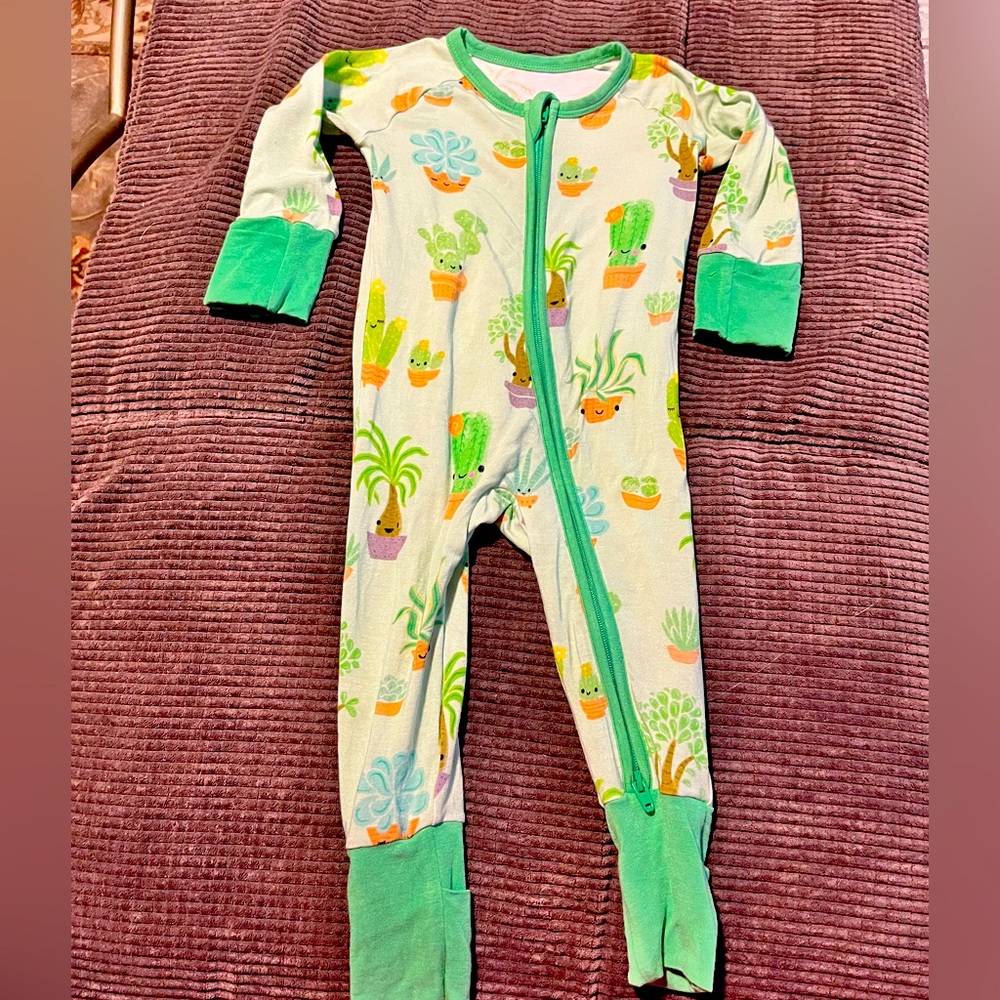 Little Sleepies Succulent Love Zippy 0-3 months